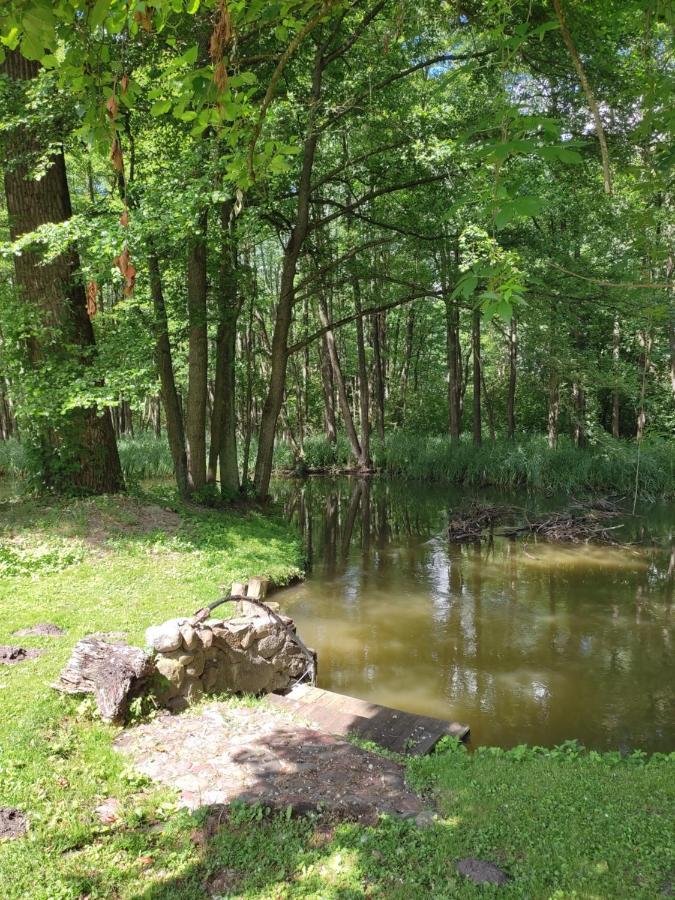 Agroturystyka Kajaki Sauna Pierogi Bakalarzewo Exterior photo
